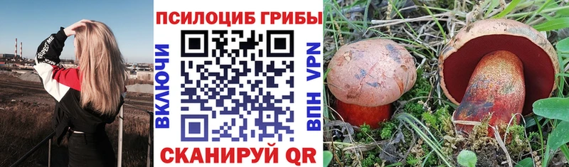 MEGA ссылки  Камешково  Галлюциногенные грибы Psilocybine cubensis  наркотики 